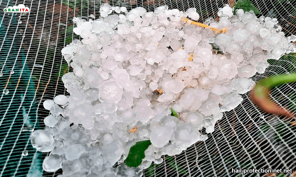 large amount of hailstones in anti hail mesh